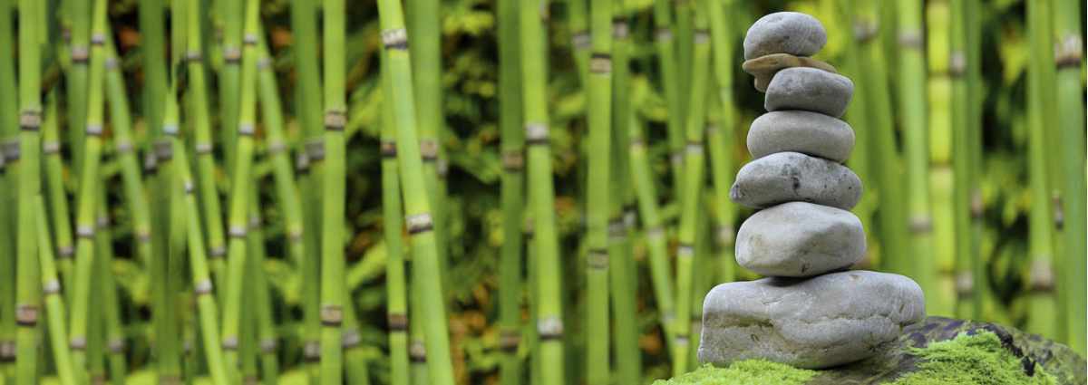 Bamboo plants with zen stone pyramid.